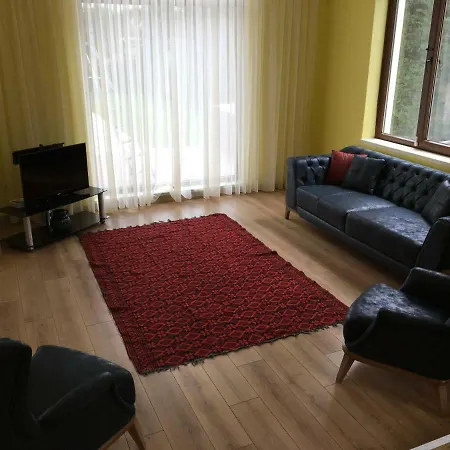 Banu Istanbul